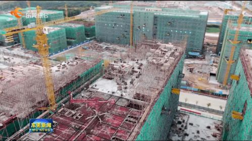 我市提前完成年度重大項目開工任務，累計新開工142個